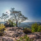 pano vom krappenfels