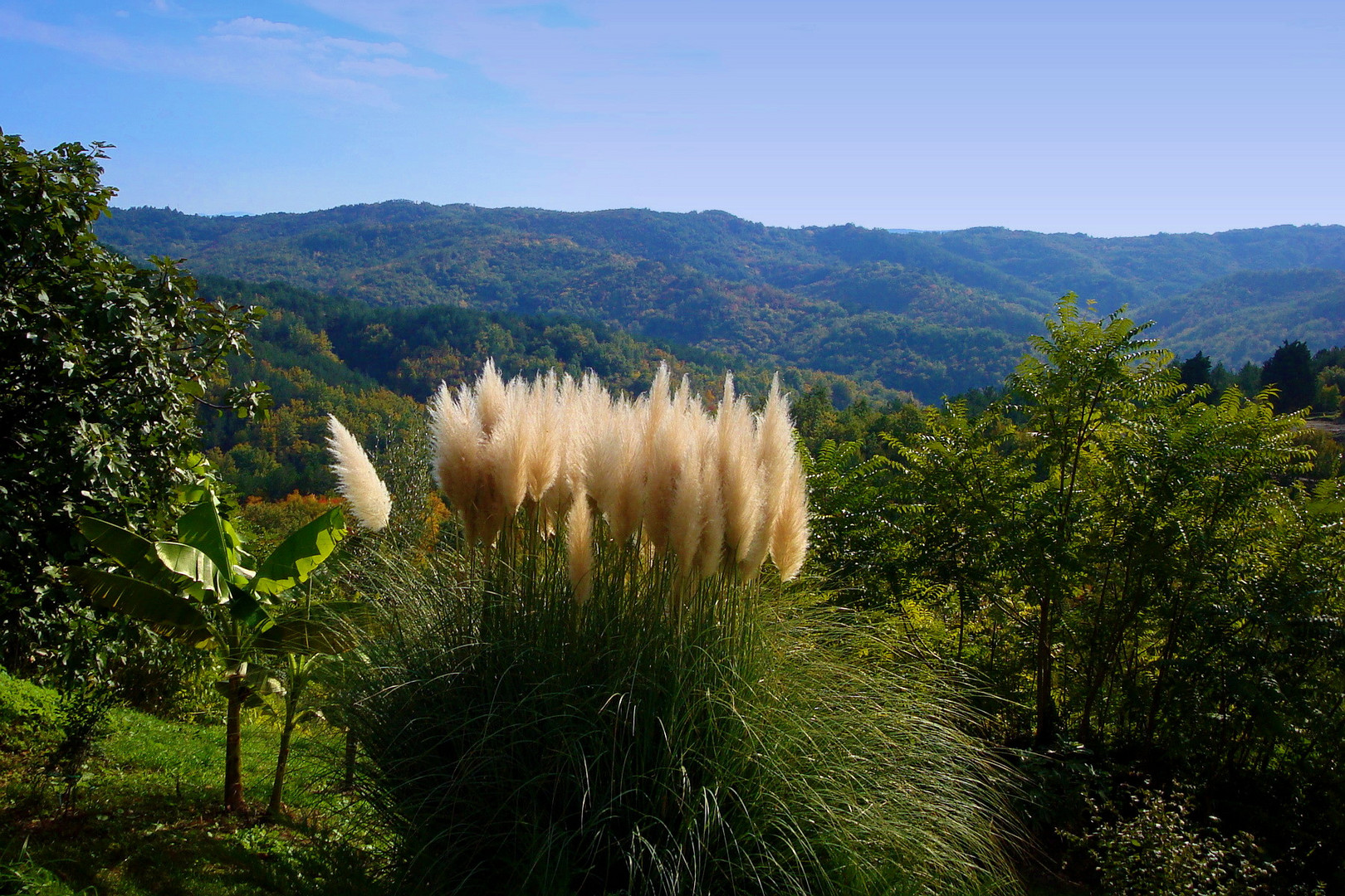 Panoram von Hum ...