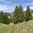 Panorama 2021-05-15 Großes Walsertal - Teilbereich (2560X1080)