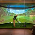 Panorama 3D Screen Golf...