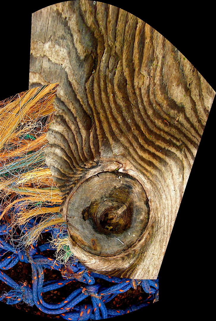 panorama 4 ....verticle knothole with enough rope to hang itself