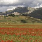 panorama a Castelluccio-umbria