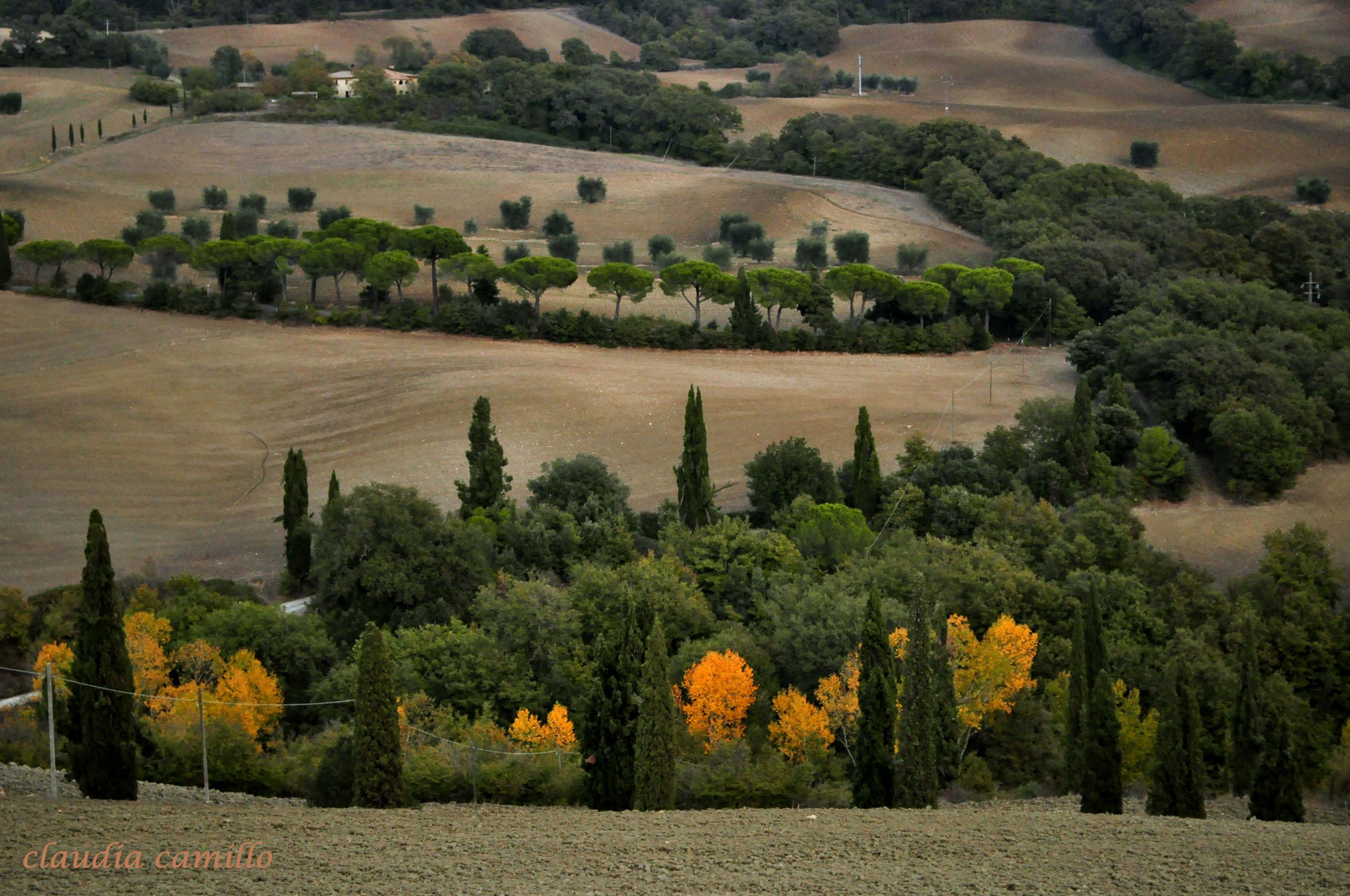 panorama a macchie