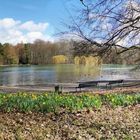 Panorama Adenauerweiher Köln