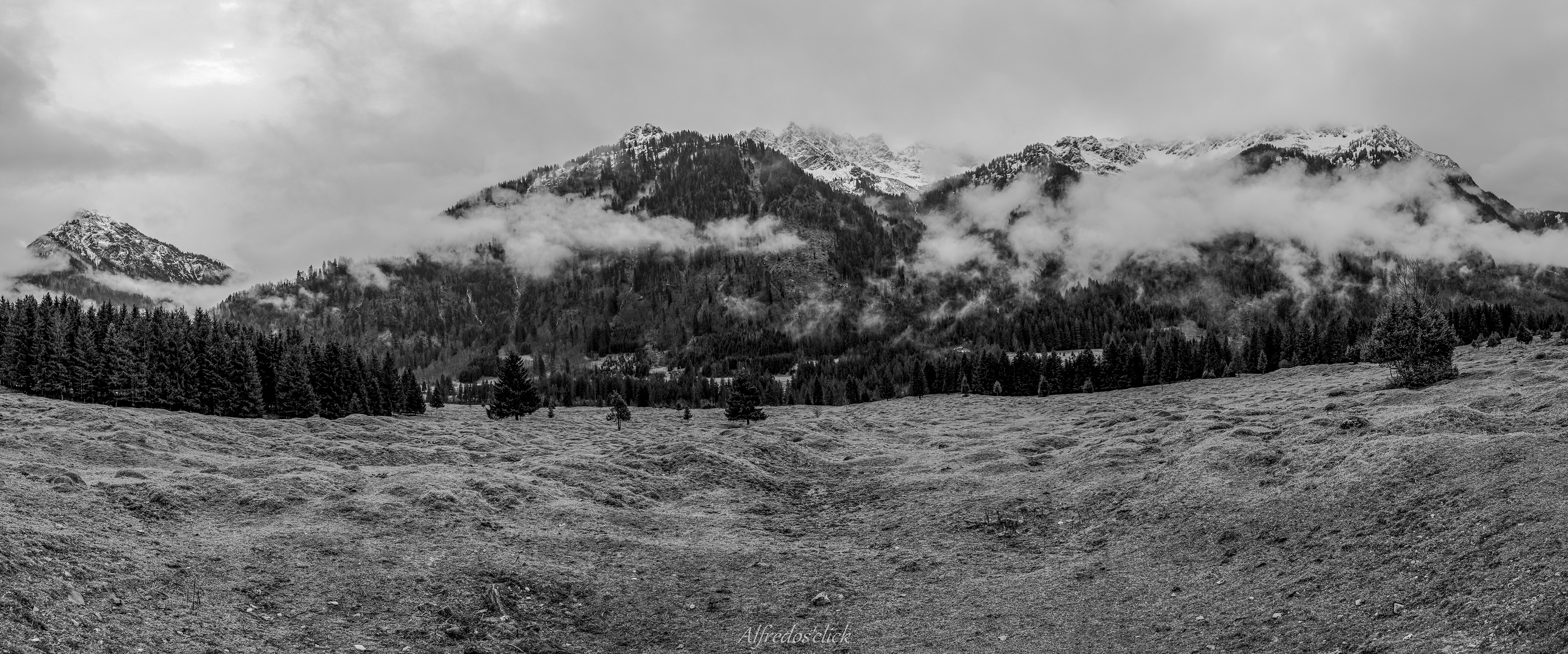 Panorama Allgäuer Hochalpen