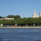 Panorama Altstadt Avignon  