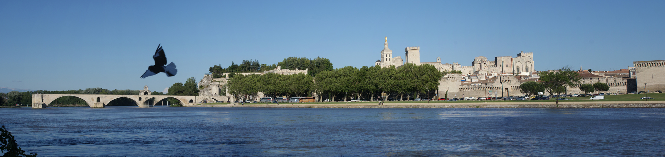 Panorama Altstadt Avignon  