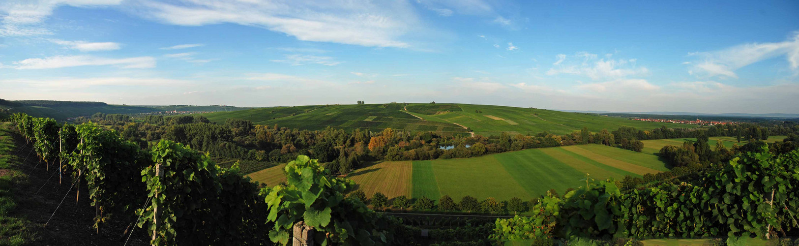 Panorama am Main bei Neuses