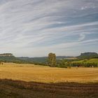 Panorama am Pfaffenstein