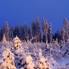 Panorama am Schliffkopf