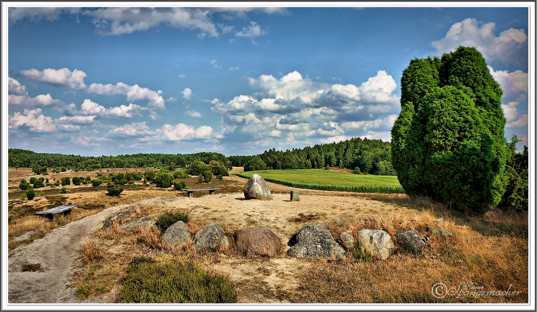 Panorama am Turmberg, Lüneburger Heide