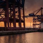 Panorama am/vom Waltershofer Hafen bei Sonnenuntergang