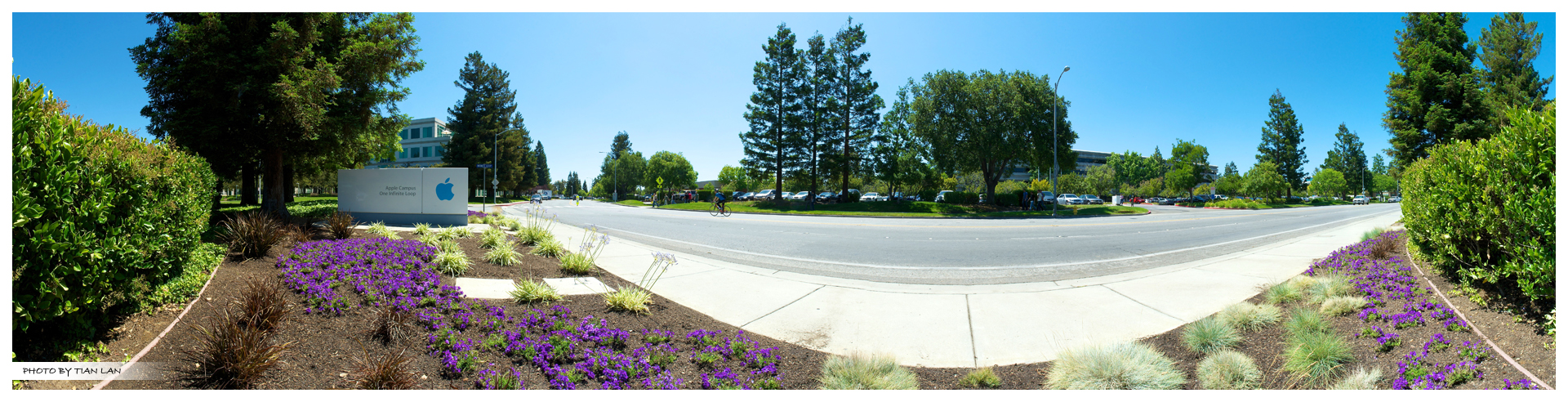 Panorama - Apple Campus Cupertino