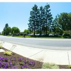 Panorama - Apple Campus Cupertino