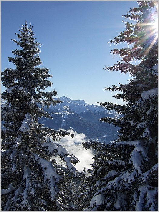 Panorama au sommet du Ranfoilly (1826m)