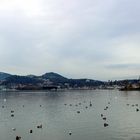 Panorama auf Luzern vom Lido aus ...