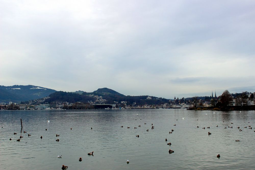Panorama auf Luzern vom Lido aus ...