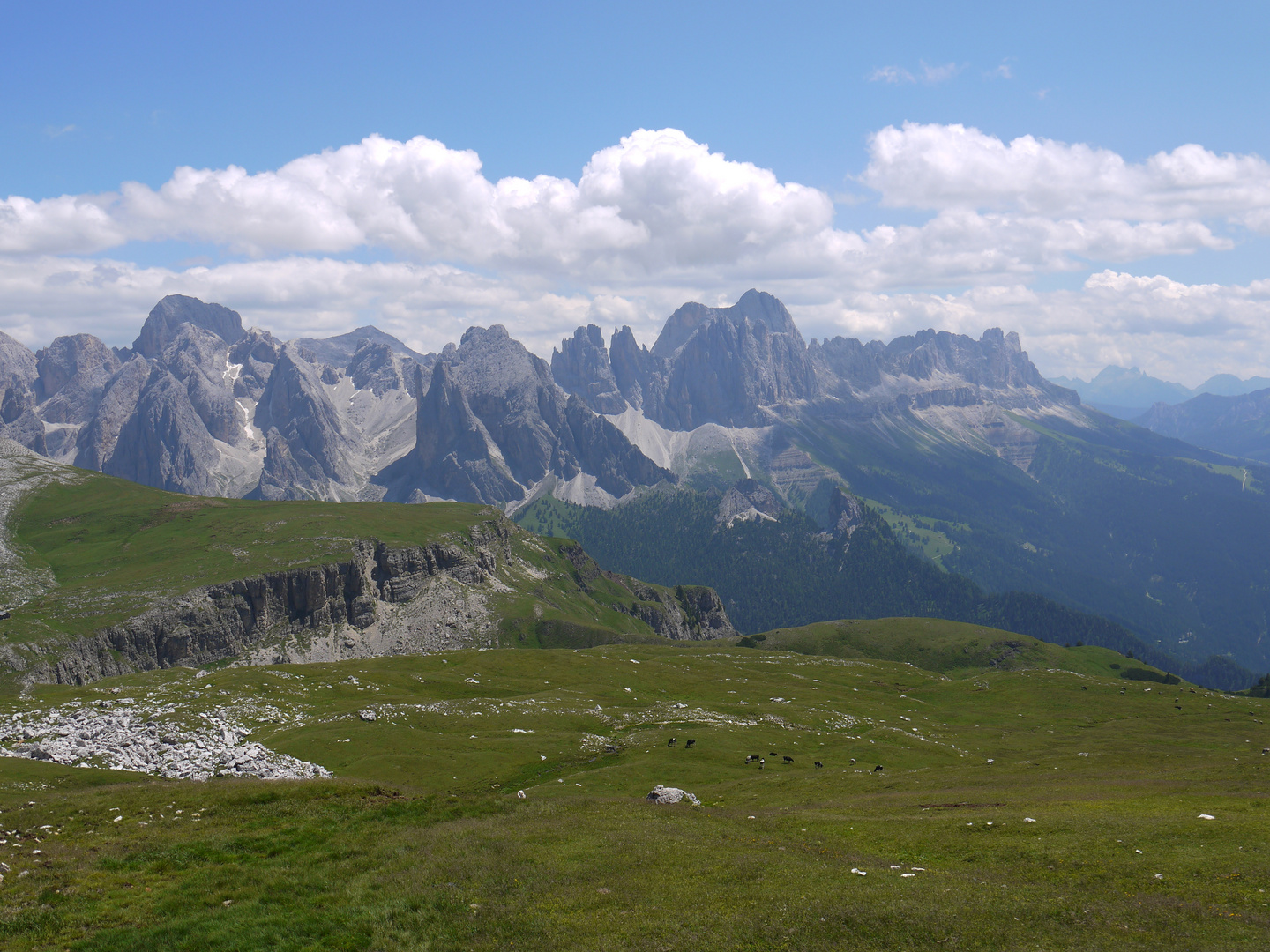 Panorama aufs Rosengarten-Massiv