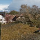 Panorama aus 4 Hochformataufnahmen - 1,4/50mm, 1/500sek, f7,1, ISO100