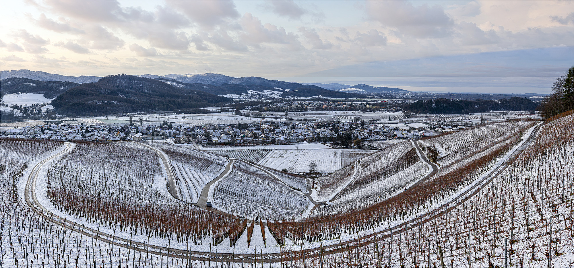 Panorama aus dem Buchholzer Weinberg