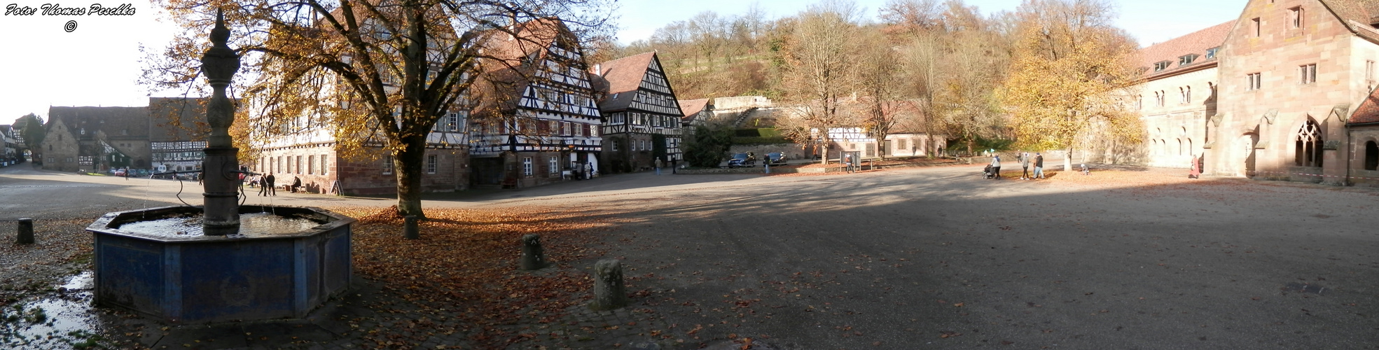 Panorama aus dem Kloster Maulbronn