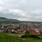 Panorama aus dem Remstal der Weinberge über Stetten mit seiner YBurg