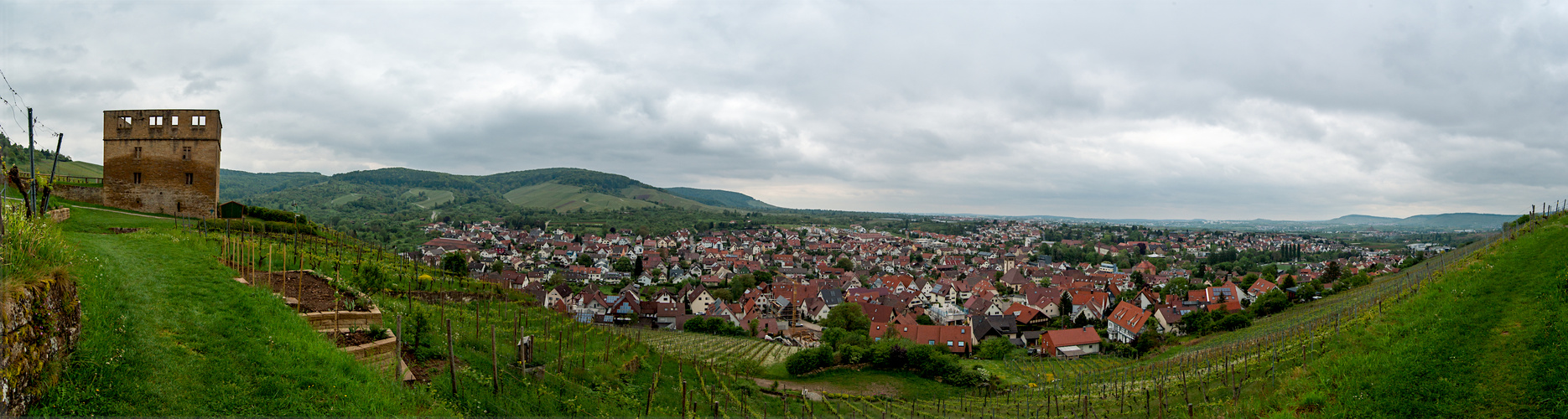 Panorama aus dem Remstal der Weinberge über Stetten mit seiner YBurg