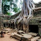 Panorama aus dem Ta Prohm Tempel, Angkor 2013