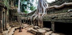 Panorama aus dem Ta Prohm Tempel, Angkor 2013