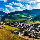 Panorama aus den Weinbergen