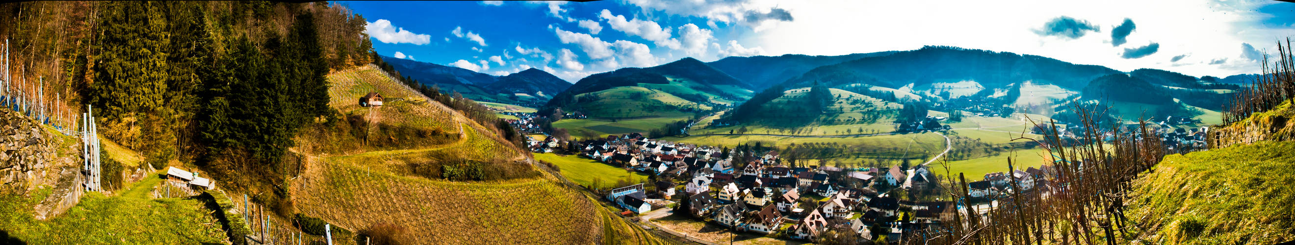 Panorama aus den Weinbergen