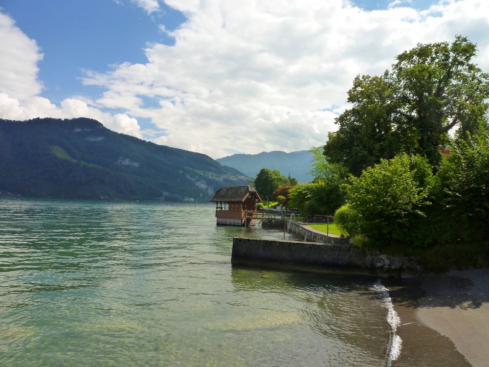 Panorama aus Kastanienbaum ...