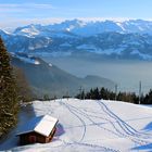 Panorama aus Rigi - Kaltbad