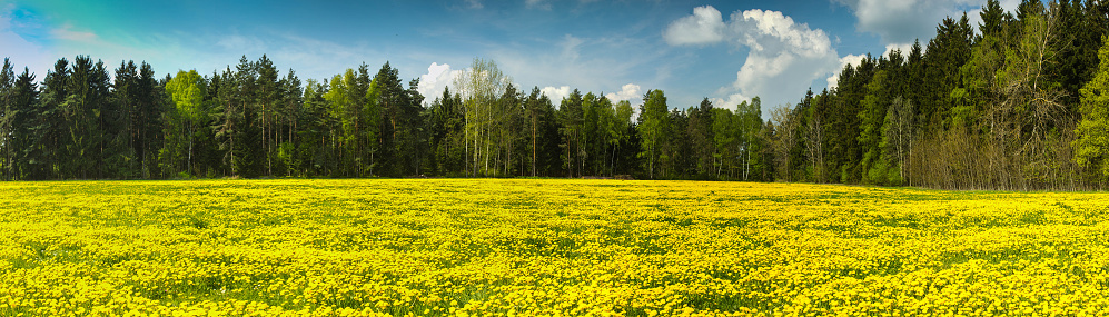 Panorama aus sieben Freihand-Aufnahmen