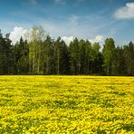 Panorama aus sieben Freihand-Aufnahmen