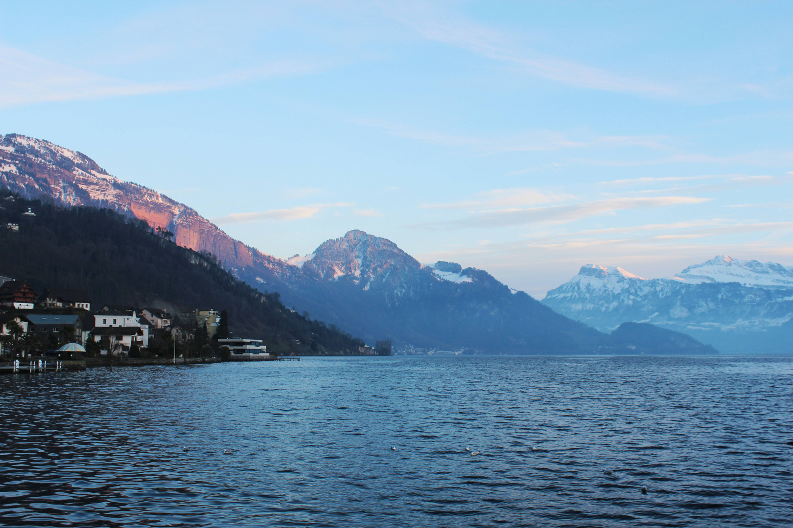 Panorama aus Weggis