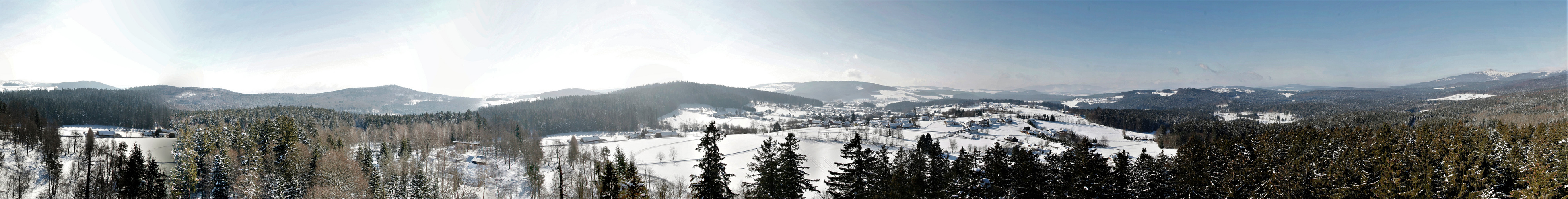 Panorama Bay. Wald Baumwipfelpfad