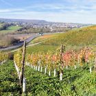 Panorama bei Bad Neuenahr - Ahrweiler