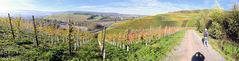 Panorama bei Bad Neuenahr - Ahrweiler