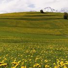 Panorama bei Rinn-Tulfes