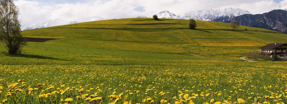 Panorama bei Rinn-Tulfes