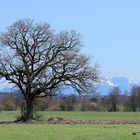 Panorama beim Ammersee