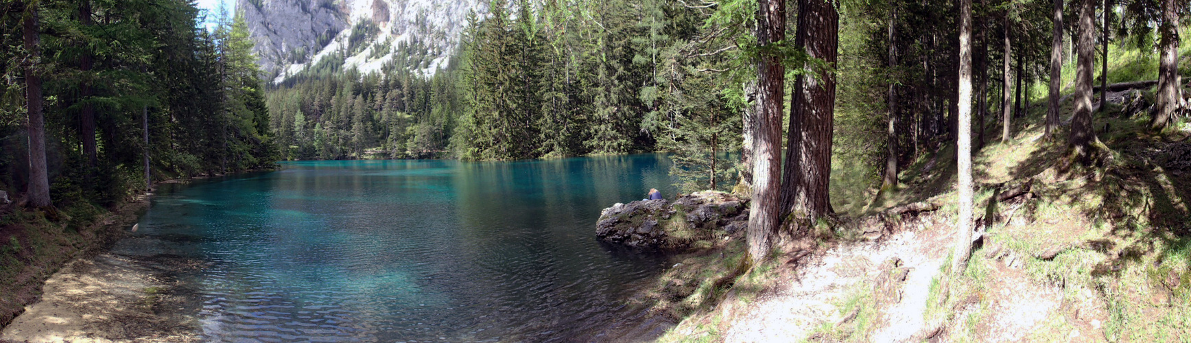 Panorama Bild grüner See