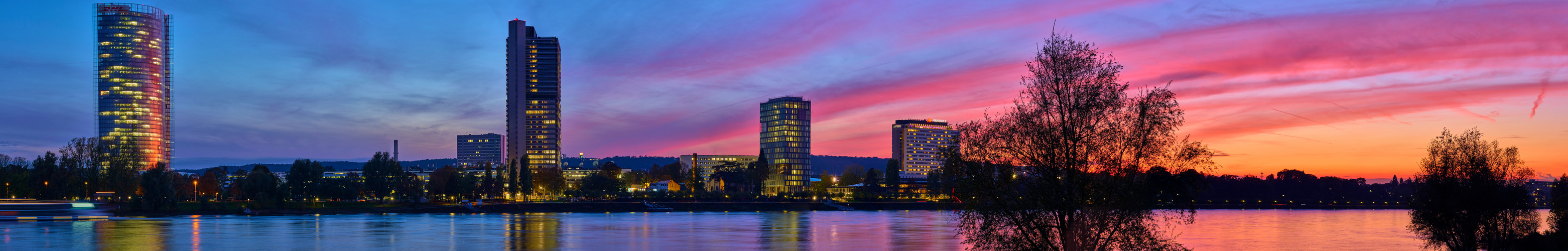 Panorama Bonn