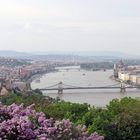 Panorama Budapest