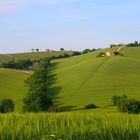 panorama campagna