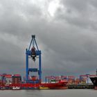 Panorama Container Terminal Altenwerder