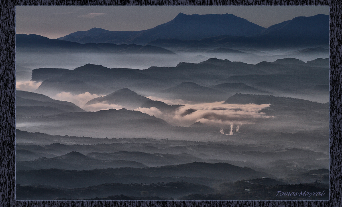 Panorama Contaminado