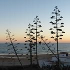 Panorama Costa de la Luz abends