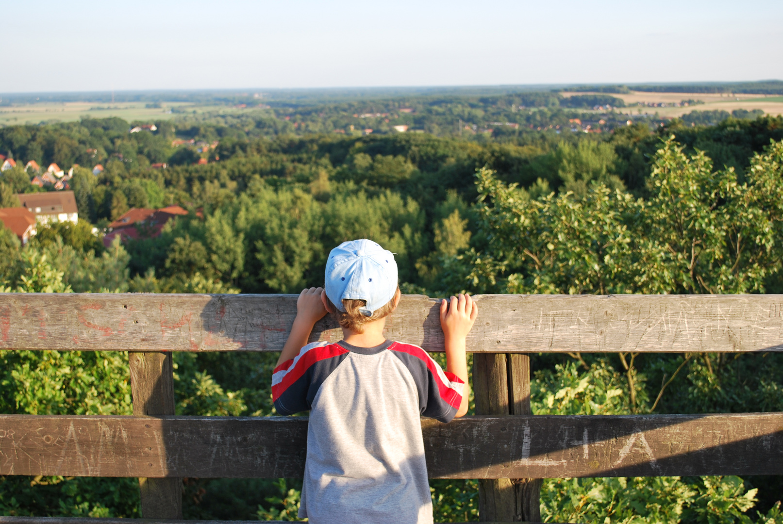 panorama da una torre di sorveglianza